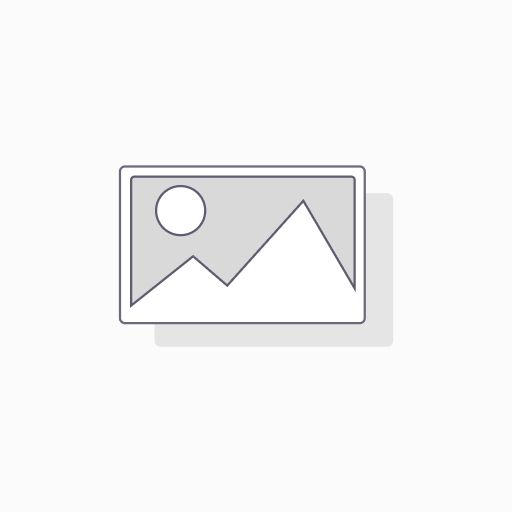 [413130520200] یاتاقان دوبل
